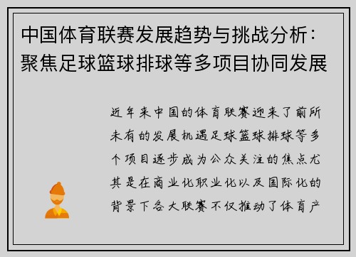 中国体育联赛发展趋势与挑战分析：聚焦足球篮球排球等多项目协同发展